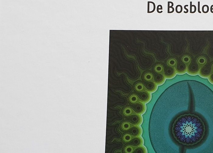 Artikel in Focus op Reeshof Mei 2019 editie 325